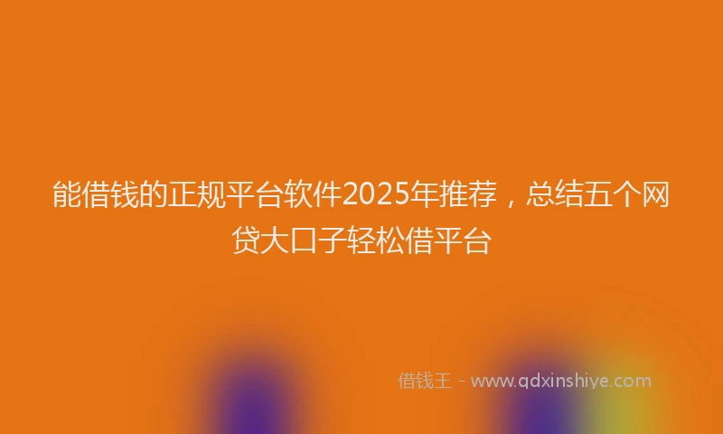 能借钱的正规平台软件2025年推荐，总结五个网贷大口子轻松借平台
