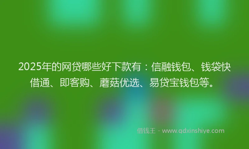 2025年的网贷哪些好下款有：信融钱包、钱袋快借通、即客购、蘑菇优选、易贷宝钱包等。