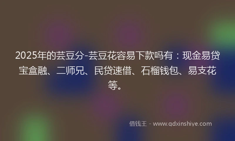 2025年的芸豆分-芸豆花容易下款吗有：现金易贷宝盒融、二师兄、民贷速借、石榴钱包、易支花等。