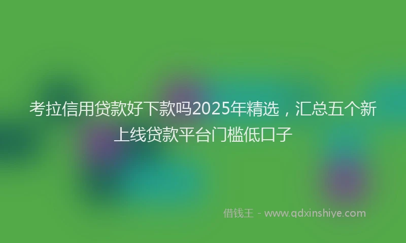 考拉信用贷款好下款吗2025年精选，汇总五个新上线贷款平台门槛低口子