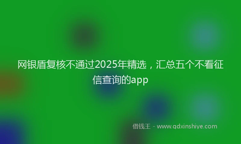 网银盾复核不通过2025年精选，汇总五个不看征信查询的app