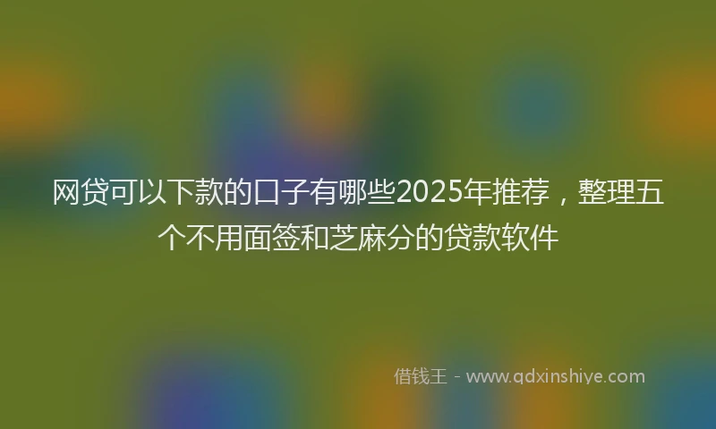 网贷可以下款的口子有哪些2025年推荐，整理五个不用面签和芝麻分的贷款软件