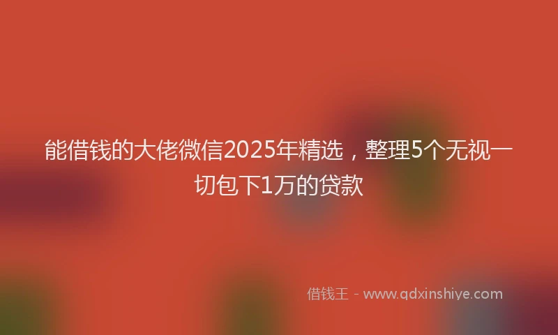 能借钱的大佬微信2025年精选，整理5个无视一切包下1万的贷款