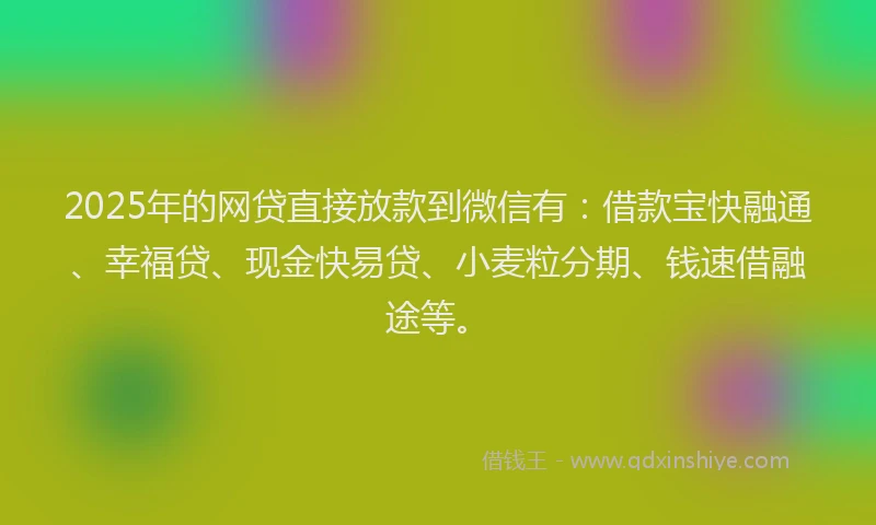 2025年的网贷直接放款到微信有：借款宝快融通、幸福贷、现金快易贷、小麦粒分期、钱速借融途等。
