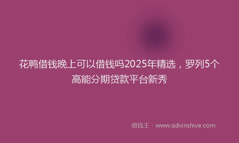 花鸭借钱晚上可以借钱吗2025年精选，罗列5个高能分期贷款平台新秀