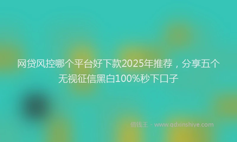 网贷风控哪个平台好下款2025年推荐，分享五个无视征信黑白100%秒下口子