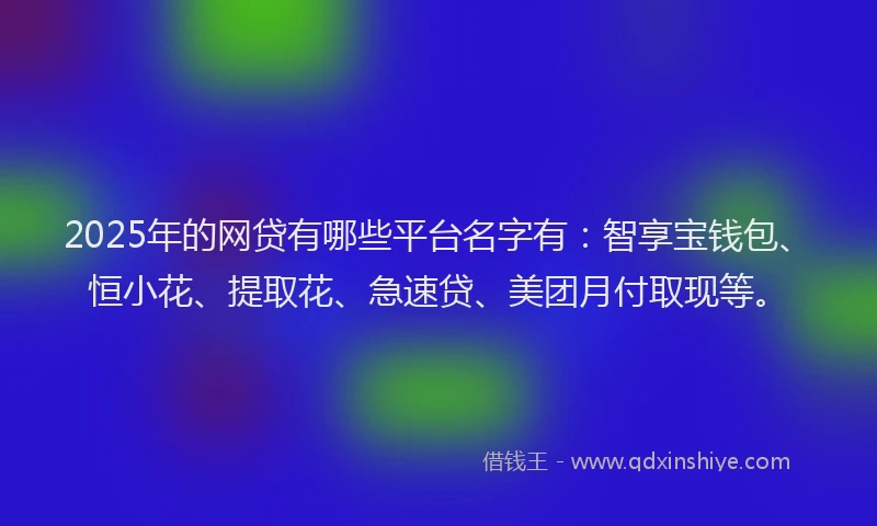 2025年的网贷有哪些平台名字有：智享宝钱包、恒小花、提取花、急速贷、美团月付取现等。