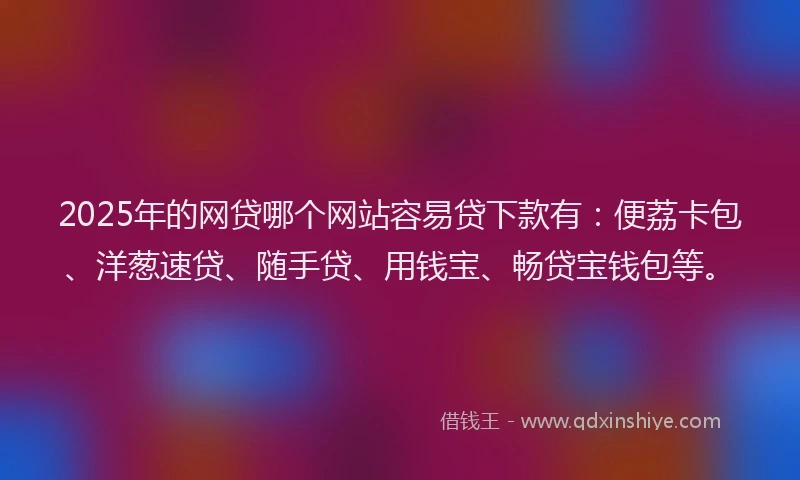 2025年的网贷哪个网站容易贷下款有：便荔卡包、洋葱速贷、随手贷、用钱宝、畅贷宝钱包等。