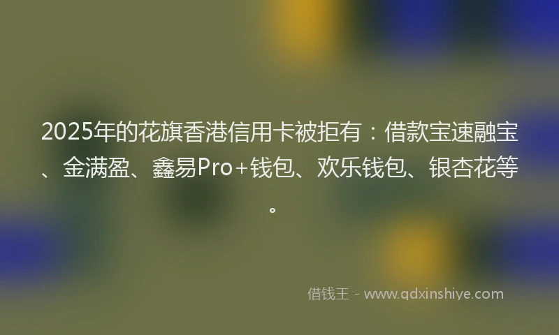 2025年的花旗香港信用卡被拒有：借款宝速融宝、金满盈、鑫易Pro+钱包、欢乐钱包、银杏花等。