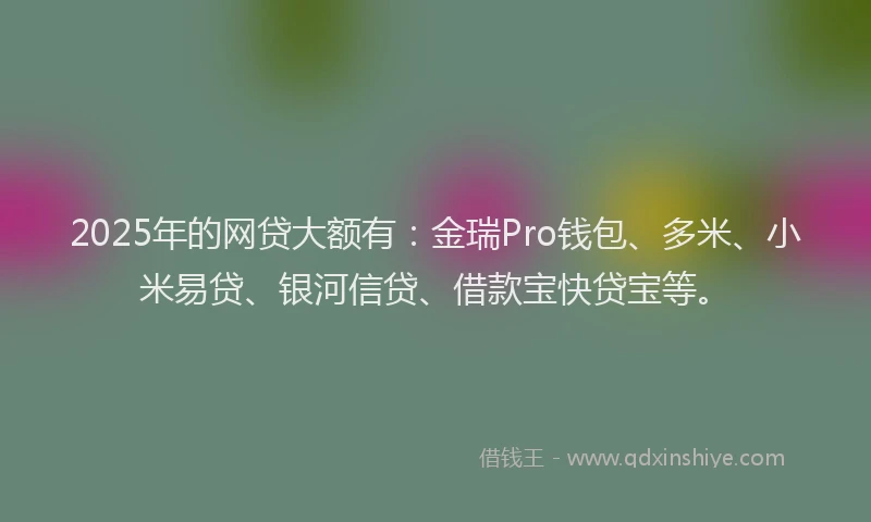 2025年的网贷大额有：金瑞Pro钱包、多米、小米易贷、银河信贷、借款宝快贷宝等。