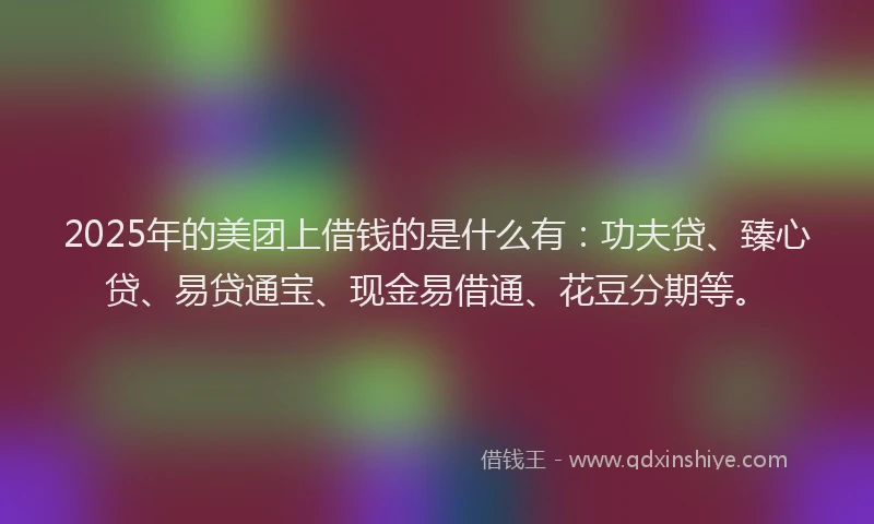 2025年的美团上借钱的是什么有：功夫贷、臻心贷、易贷通宝、现金易借通、花豆分期等。
