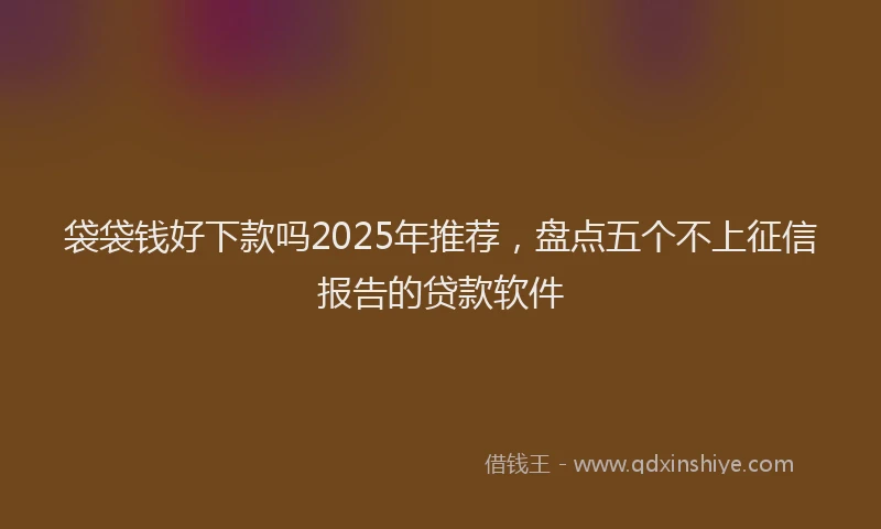 袋袋钱好下款吗2025年推荐，盘点五个不上征信报告的贷款软件