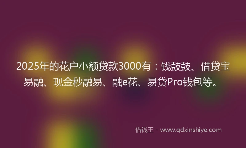 2025年的花户小额贷款3000有：钱鼓鼓、借贷宝易融、现金秒融易、融e花、易贷Pro钱包等。