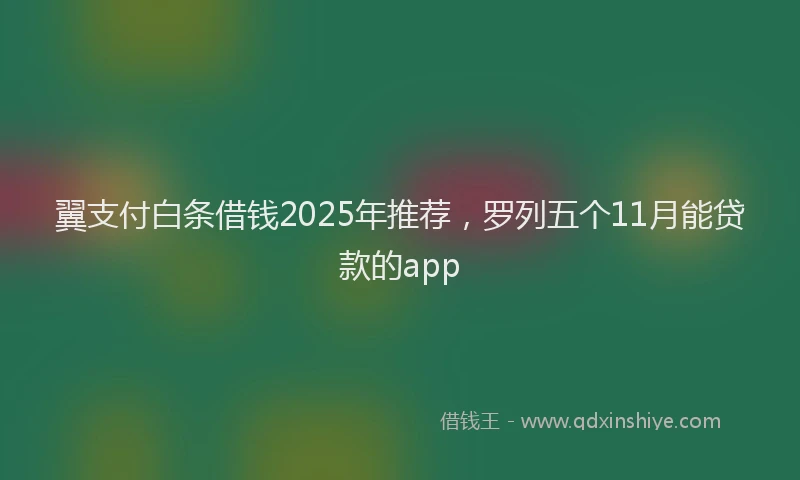 翼支付白条借钱2025年推荐，罗列五个11月能贷款的app