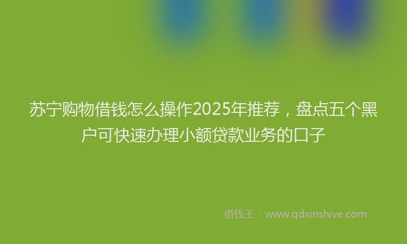 苏宁购物借钱怎么操作2025年推荐，盘点五个黑户可快速办理小额贷款业务的口子