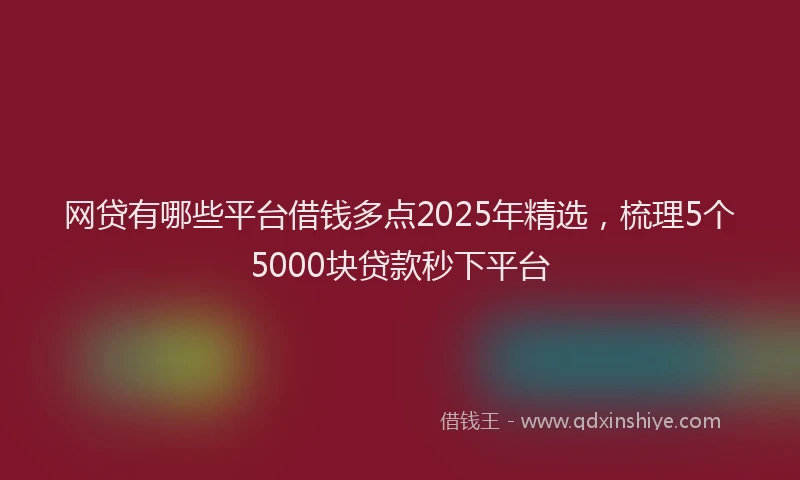 网贷有哪些平台借钱多点2025年精选，梳理5个5000块贷款秒下平台