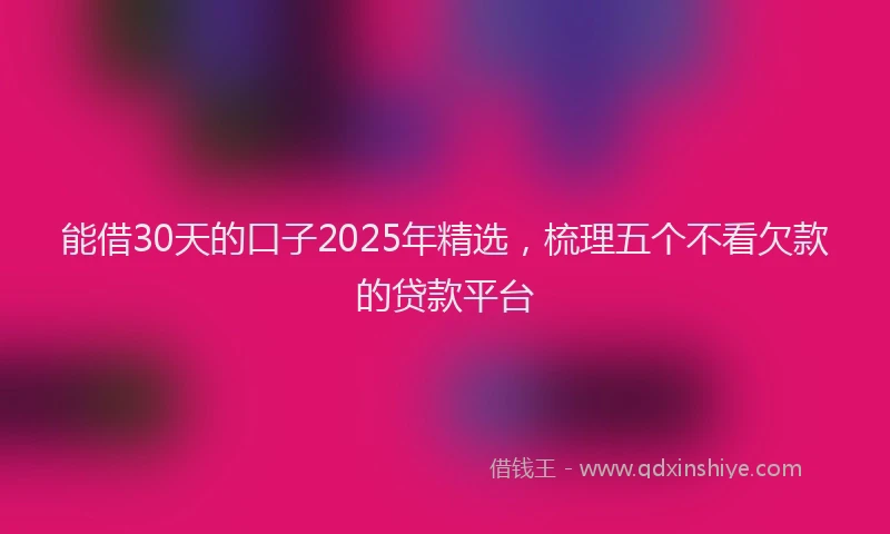 能借30天的口子2025年精选，梳理五个不看欠款的贷款平台