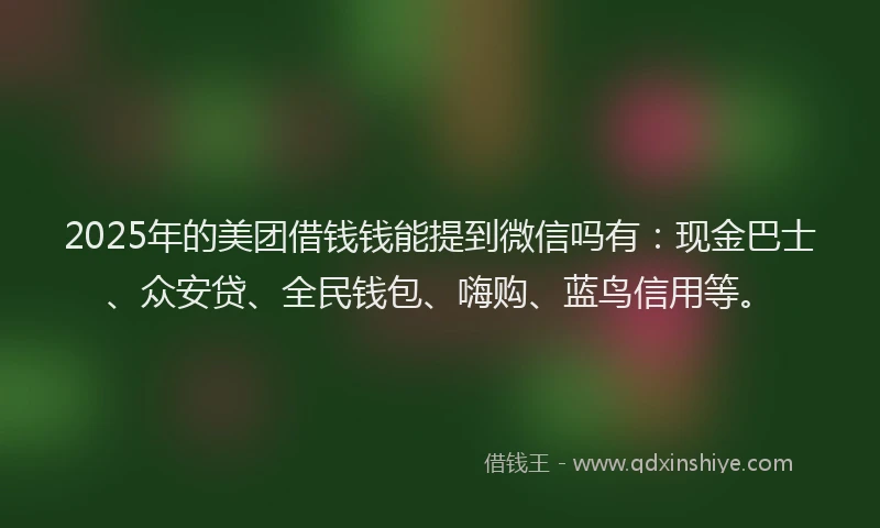 2025年的美团借钱钱能提到微信吗有：现金巴士、众安贷、全民钱包、嗨购、蓝鸟信用等。