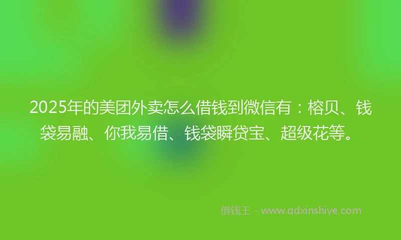 2025年的美团外卖怎么借钱到微信有：榕贝、钱袋易融、你我易借、钱袋瞬贷宝、超级花等。