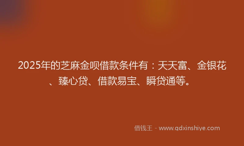 2025年的芝麻金呗借款条件有：天天富、金银花、臻心贷、借款易宝、瞬贷通等。