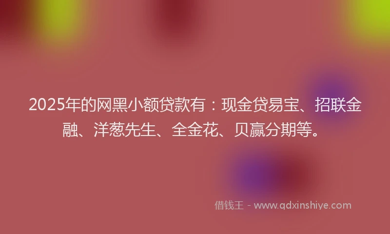 2025年的网黑小额贷款有：现金贷易宝、招联金融、洋葱先生、全金花、贝赢分期等。