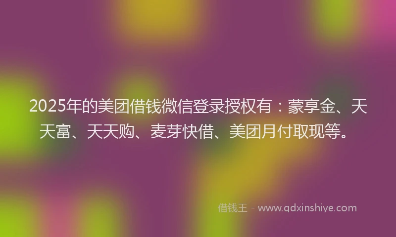 2025年的美团借钱微信登录授权有：蒙享金、天天富、天天购、麦芽快借、美团月付取现等。