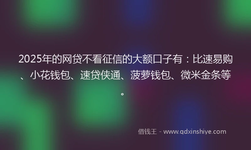 2025年的网贷不看征信的大额口子有：比速易购、小花钱包、速贷侠通、菠萝钱包、微米金条等。