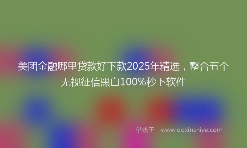 美团金融哪里贷款好下款2025年精选，整合五个无视征信黑白100%秒下软件