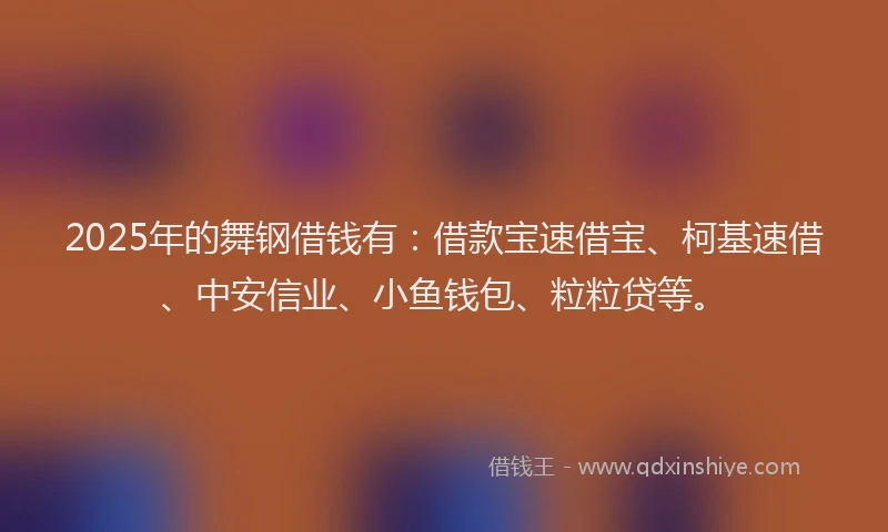 2025年的舞钢借钱有：借款宝速借宝、柯基速借、中安信业、小鱼钱包、粒粒贷等。