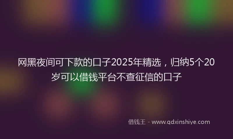网黑夜间可下款的口子2025年精选，归纳5个20岁可以借钱平台不查征信的口子