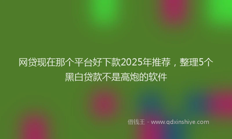 网贷现在那个平台好下款2025年推荐，整理5个黑白贷款不是高炮的软件