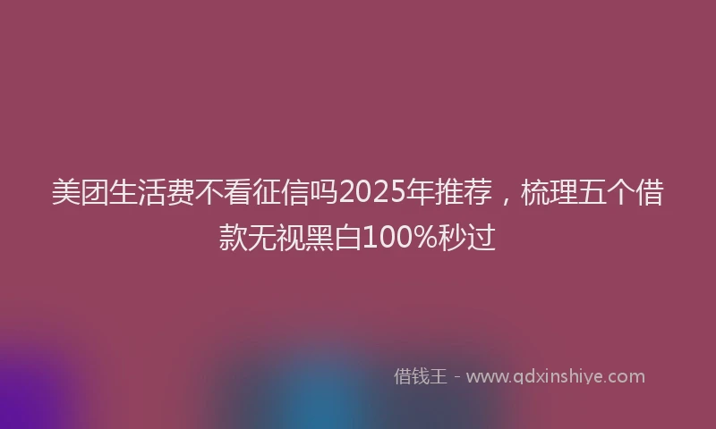 美团生活费不看征信吗2025年推荐，梳理五个借款无视黑白100%秒过