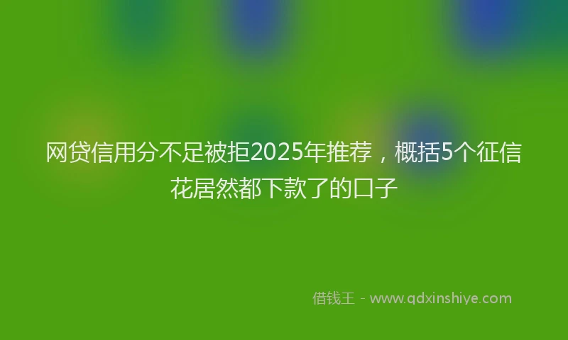 网贷信用分不足被拒2025年推荐，概括5个征信花居然都下款了的口子