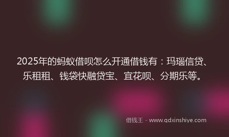 2025年的蚂蚁借呗怎么开通借钱有：玛瑙信贷、乐租租、钱袋快融贷宝、宜花呗、分期乐等。