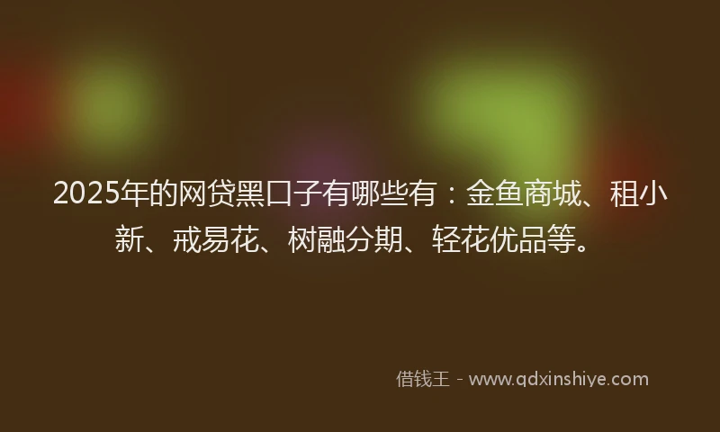 2025年的网贷黑口子有哪些有：金鱼商城、租小新、戒易花、树融分期、轻花优品等。