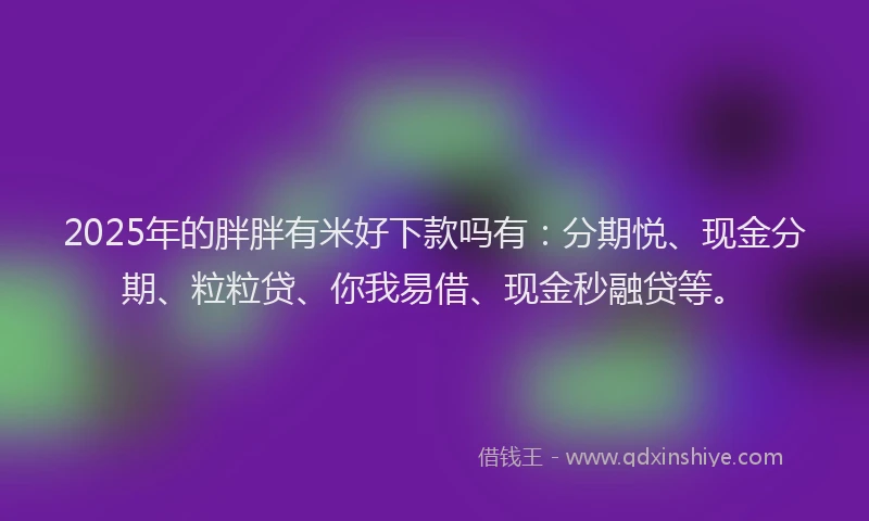 2025年的胖胖有米好下款吗有：分期悦、现金分期、粒粒贷、你我易借、现金秒融贷等。