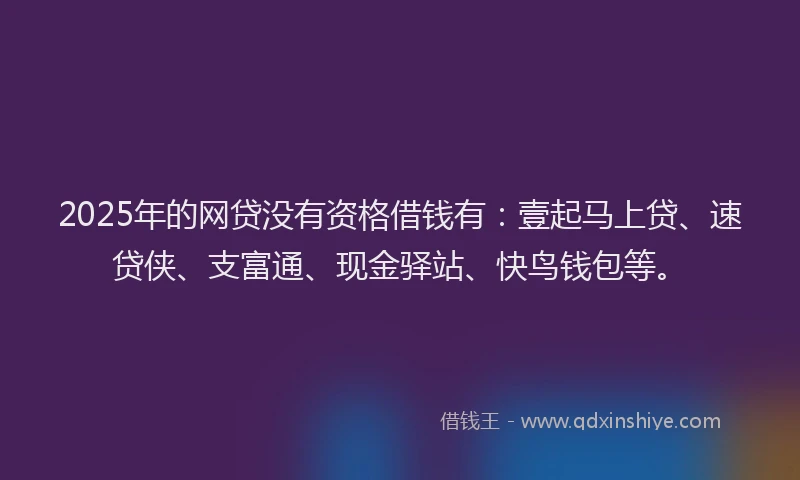2025年的网贷没有资格借钱有：壹起马上贷、速贷侠、支富通、现金驿站、快鸟钱包等。