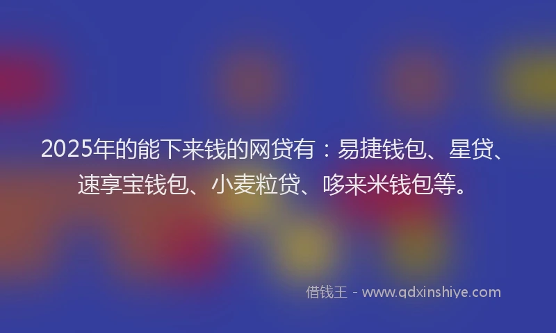 2025年的能下来钱的网贷有：易捷钱包、星贷、速享宝钱包、小麦粒贷、哆来米钱包等。