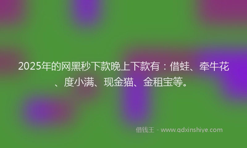 2025年的网黑秒下款晚上下款有：借蛙、牵牛花、度小满、现金猫、金租宝等。