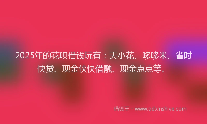 2025年的花呗借钱玩有：天小花、哆哆米、省时快贷、现金侠快借融、现金点点等。