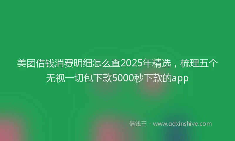 美团借钱消费明细怎么查2025年精选，梳理五个无视一切包下款5000秒下款的app