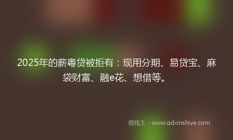 2025年的薪粤贷被拒有：现用分期、易贷宝、麻袋财富、融e花、想借等。