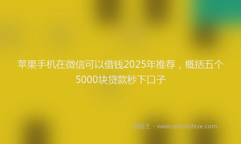苹果手机在微信可以借钱2025年推荐，概括五个5000块贷款秒下口子