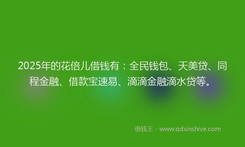 2025年的花倍儿借钱有：全民钱包、天美贷、同程金融、借款宝速易、滴滴金融滴水贷等。