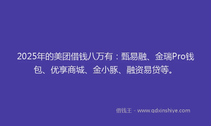 2025年的美团借钱八万有：甄易融、金瑞Pro钱包、优享商城、金小豚、融资易贷等。