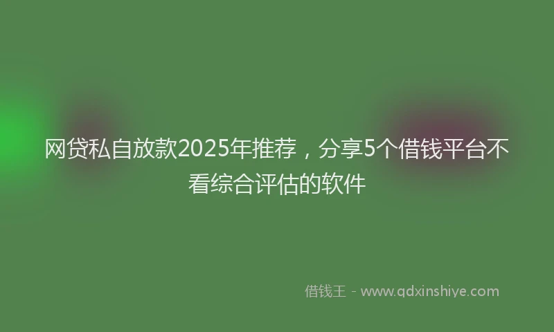 网贷私自放款2025年推荐，分享5个借钱平台不看综合评估的软件