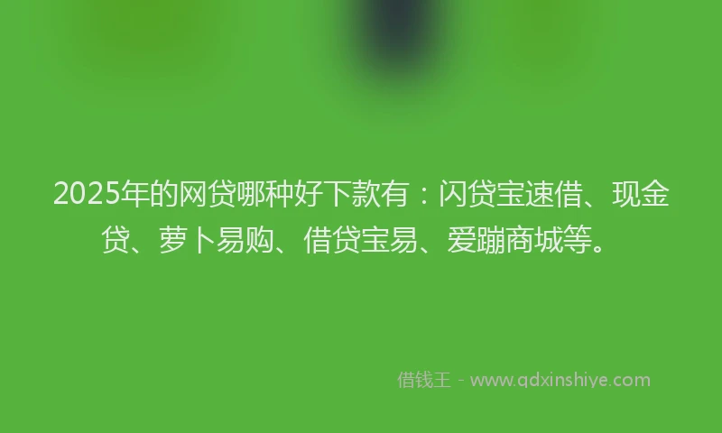 2025年的网贷哪种好下款有：闪贷宝速借、现金贷、萝卜易购、借贷宝易、爱蹦商城等。