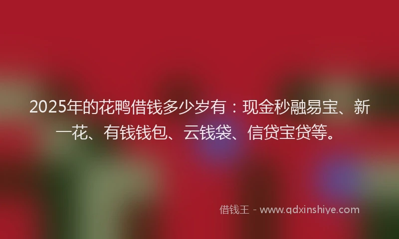 2025年的花鸭借钱多少岁有：现金秒融易宝、新一花、有钱钱包、云钱袋、信贷宝贷等。