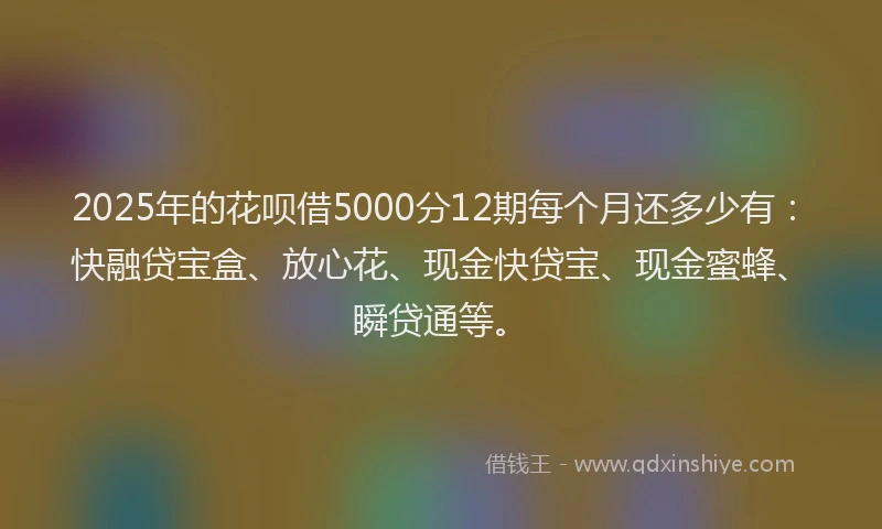 2025年的花呗借5000分12期每个月还多少有：快融贷宝盒、放心花、现金快贷宝、现金蜜蜂、瞬贷通等。