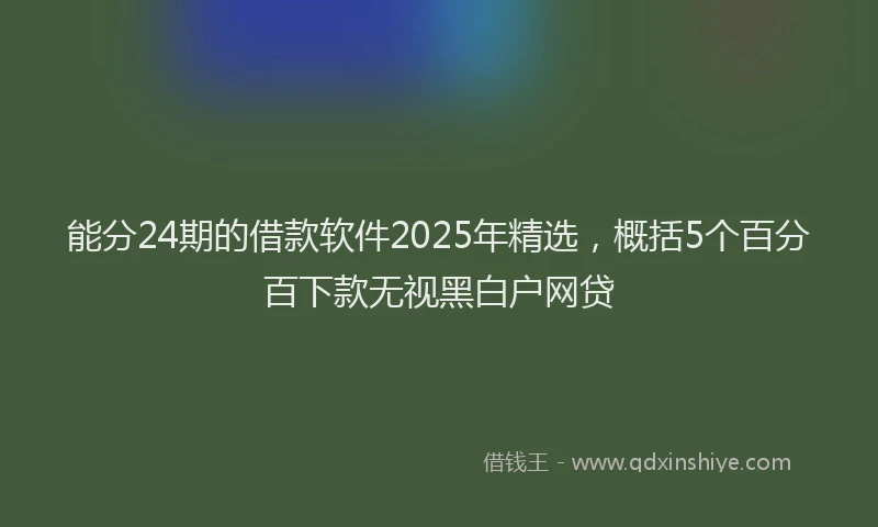 能分24期的借款软件2025年精选，概括5个百分百下款无视黑白户网贷